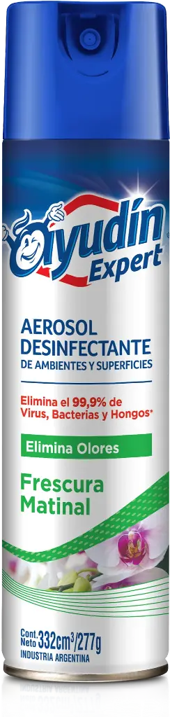Ayudin Aerosol Frescura Matinal x332ml